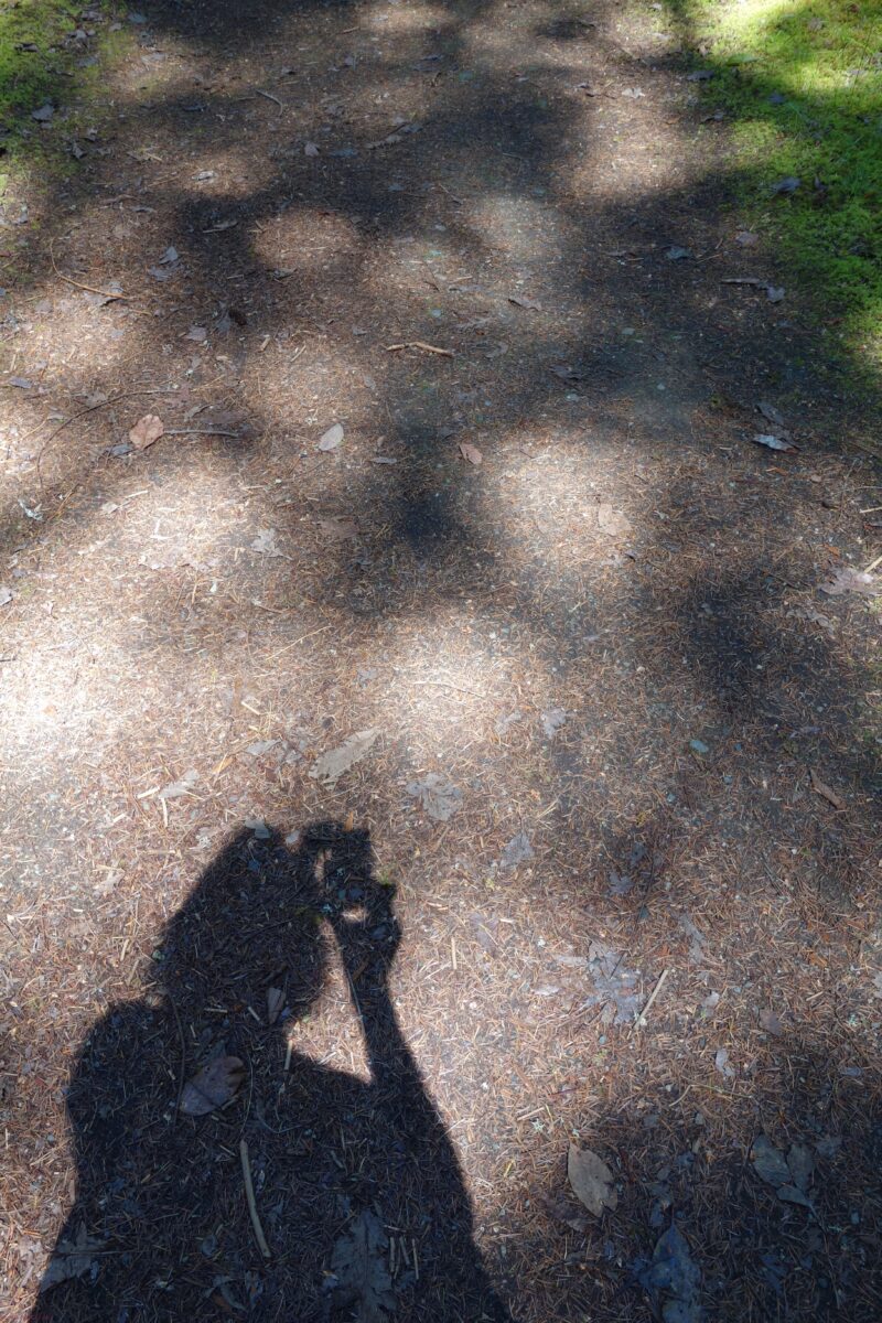 The Photographer in Shadow