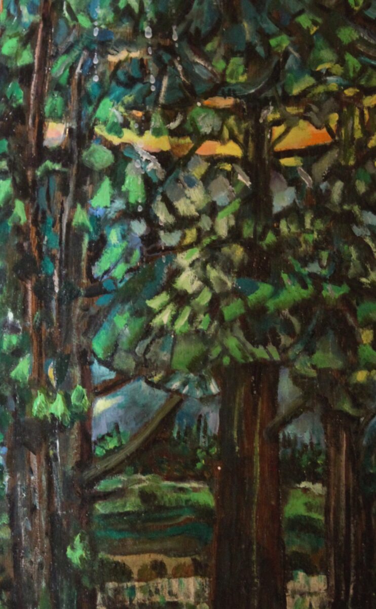 Forest Near Westwood Lake